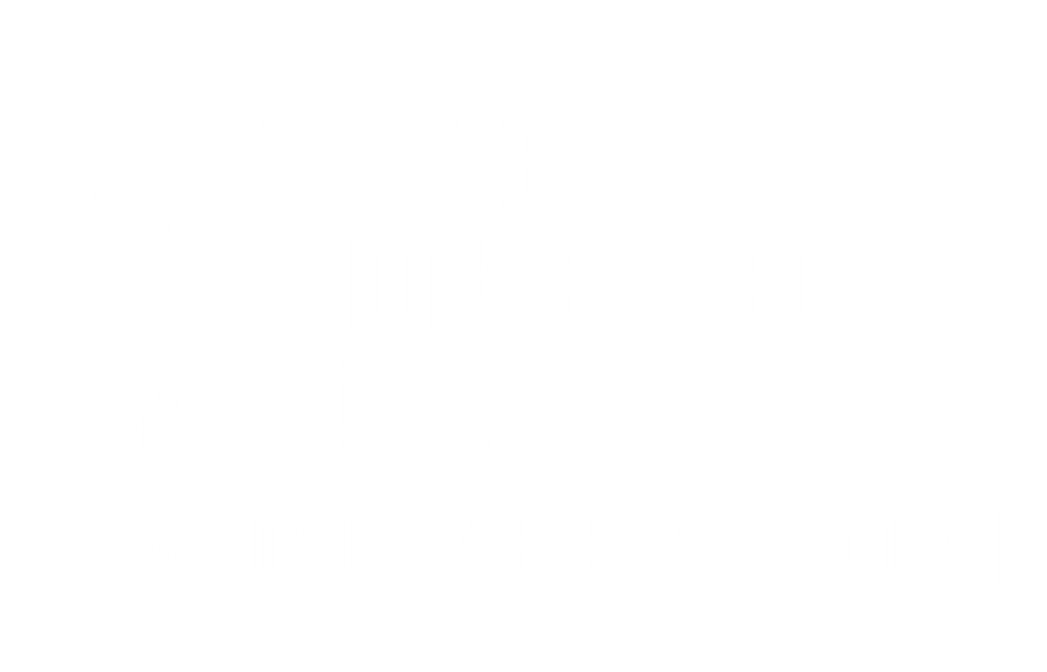Трофимов<br>Владислав Владимирович